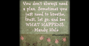 quote_you_dont_always_need_a_plan