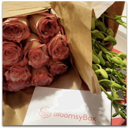 bloomsybox_3_ds