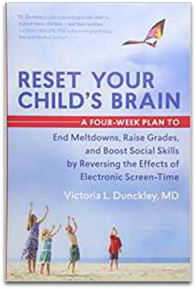Reset Your Child's Brain Book