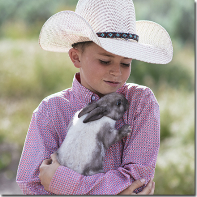 kids pets boy rabbit
