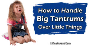 Featured-Image-How-to-Handle-Tantrums-copy.jpg