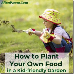 Kid-Friendly-Garden-Main-Image-copy.jpg